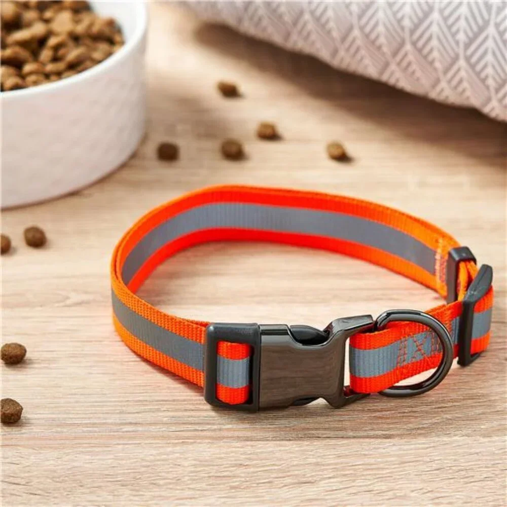 Metal & Nylon Fashion Dog Collar, Orange, Large Size